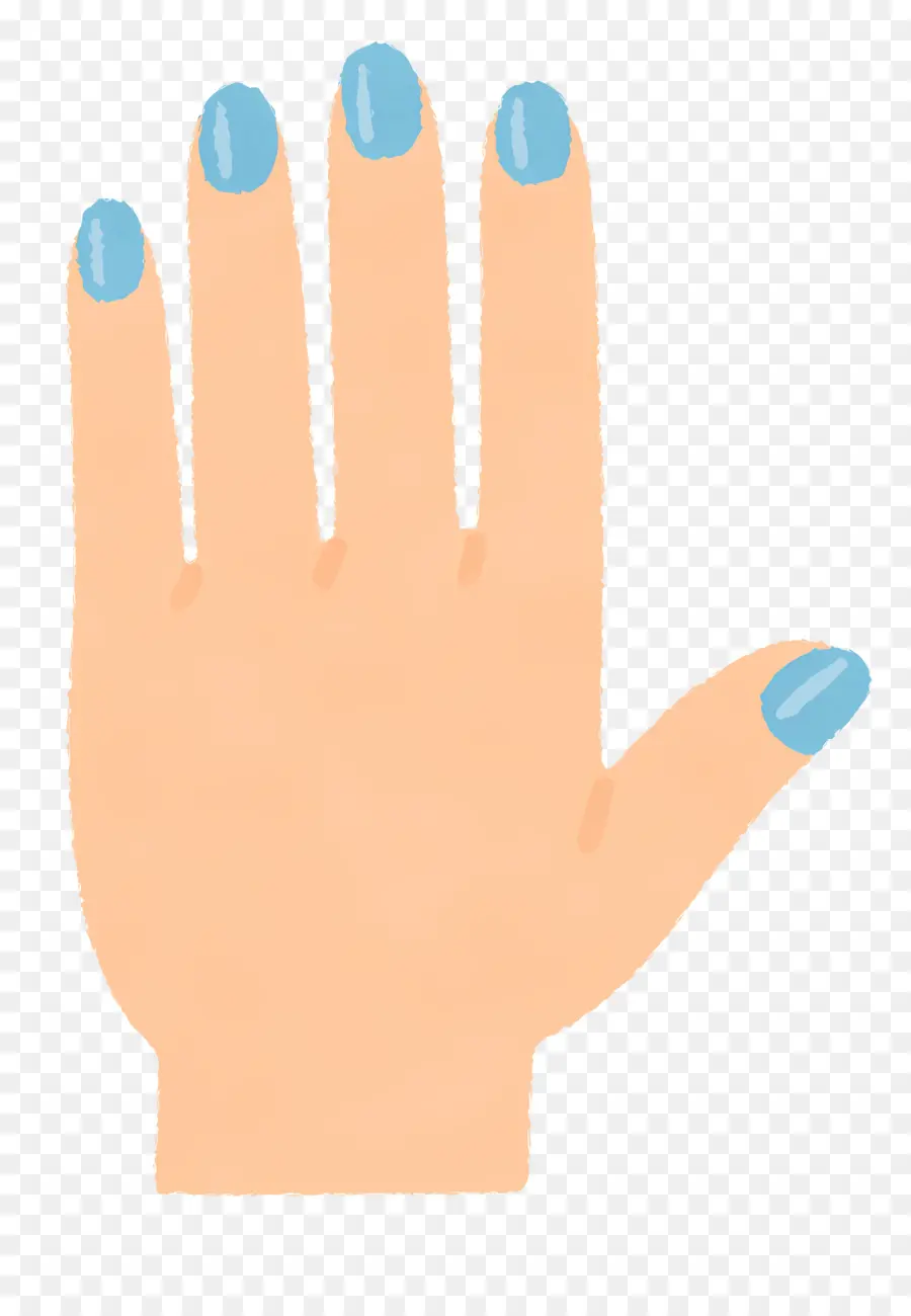 Mão，Nail PNG