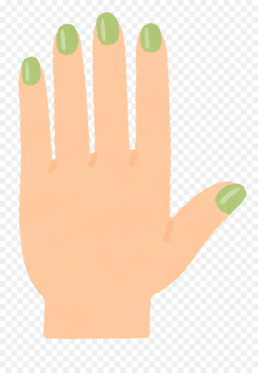 Mão，Nail PNG