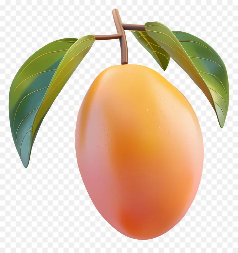 Doodle Mango，Mango PNG