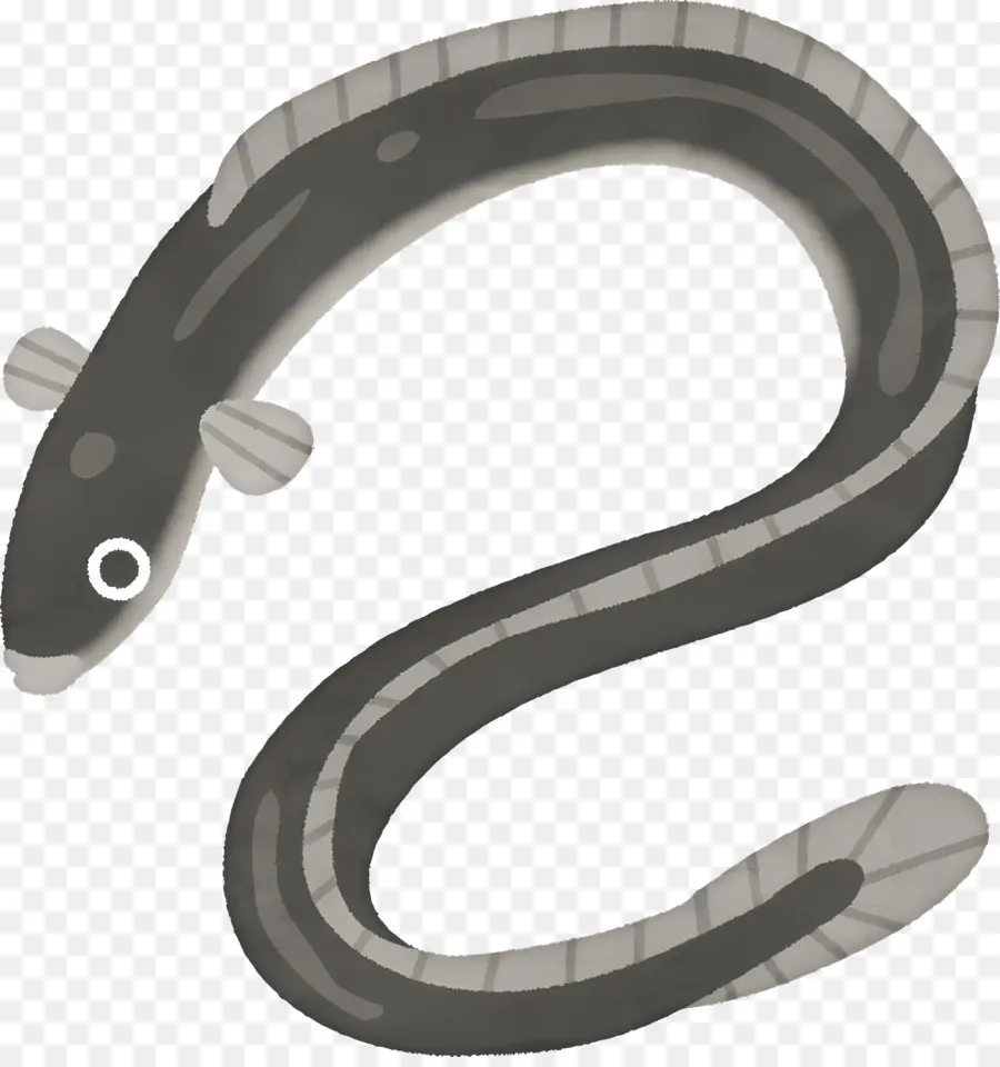 Peixe De Desenho Animado，Enguia PNG