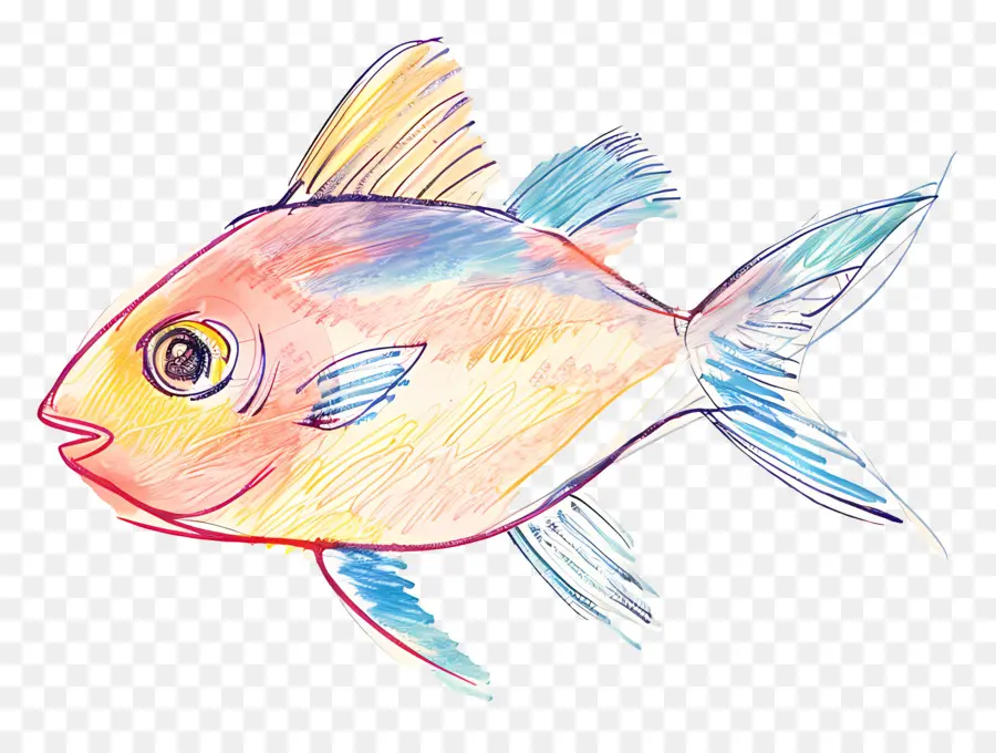 Peixe，Cartoon Peixe PNG