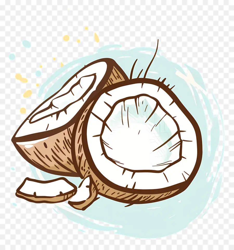 O óleo De Coco，Coco PNG