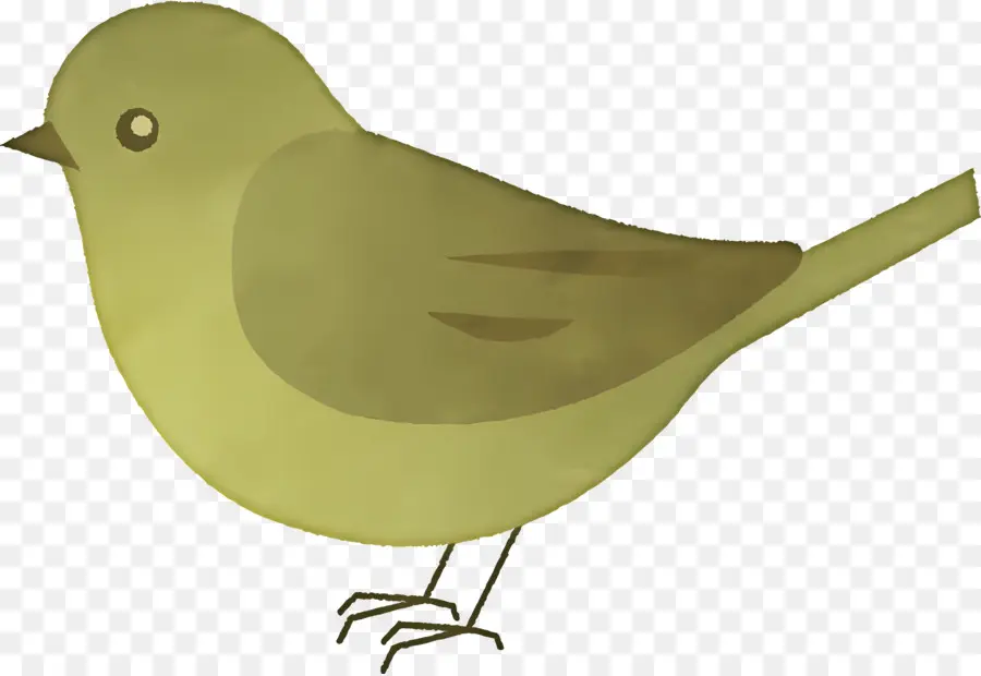 Cartoon Pássaro，Pássaro Verde PNG