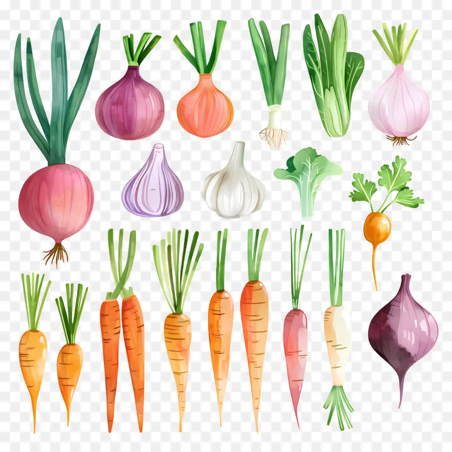 Legumes，Pintura Em Aquarela PNG