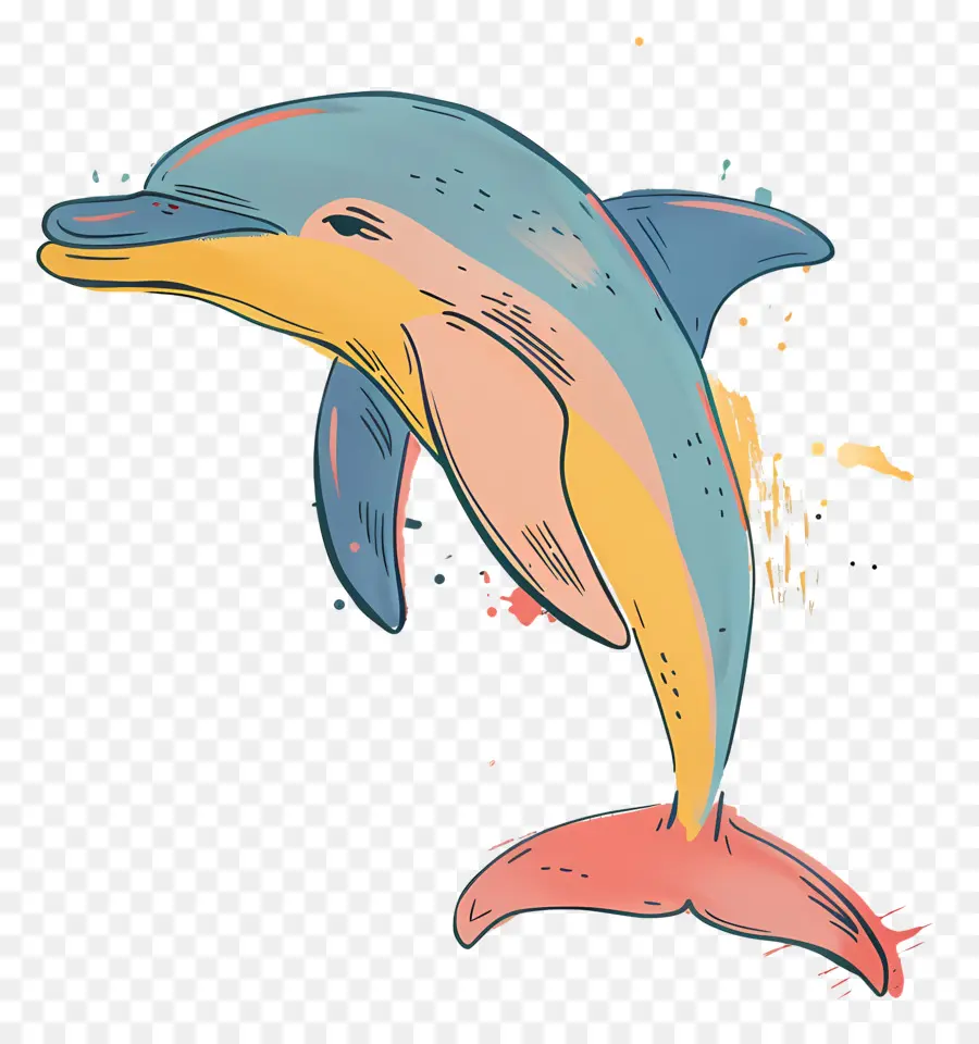 Cartoon Dolphin，Dolphin PNG