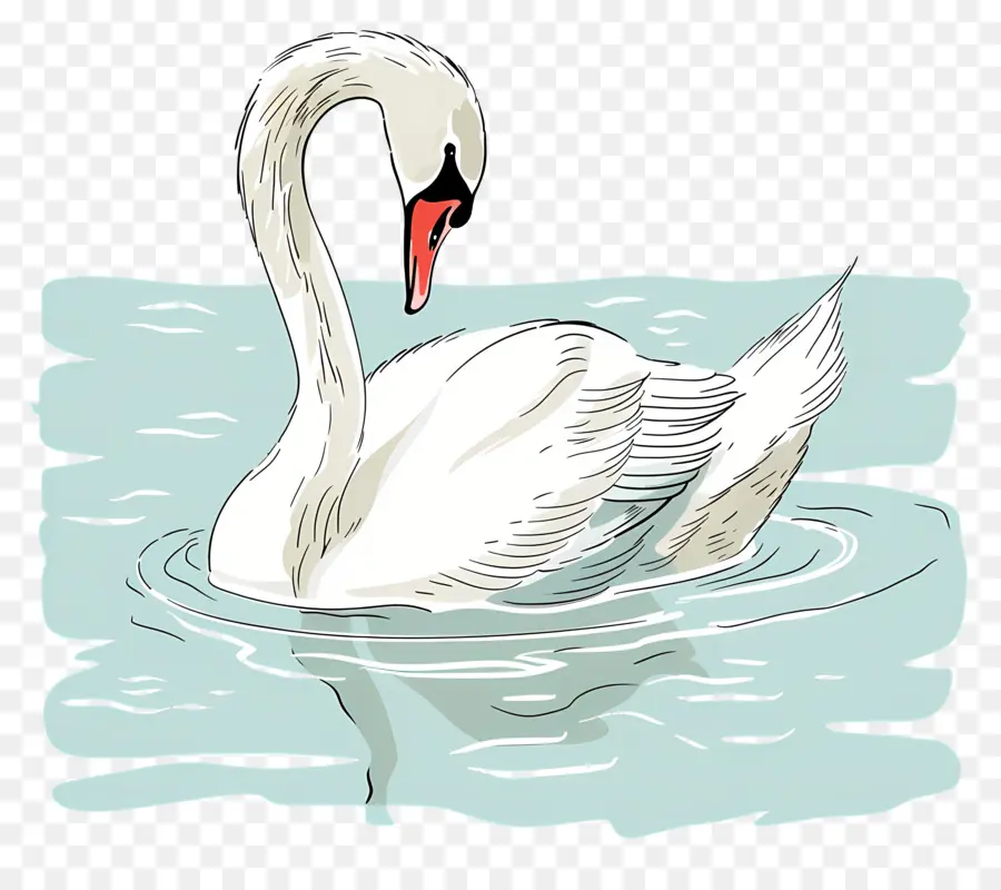 Swan Nadador，Swan PNG