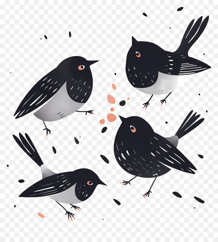 Pássaros Pequenos Negros，Aves PNG