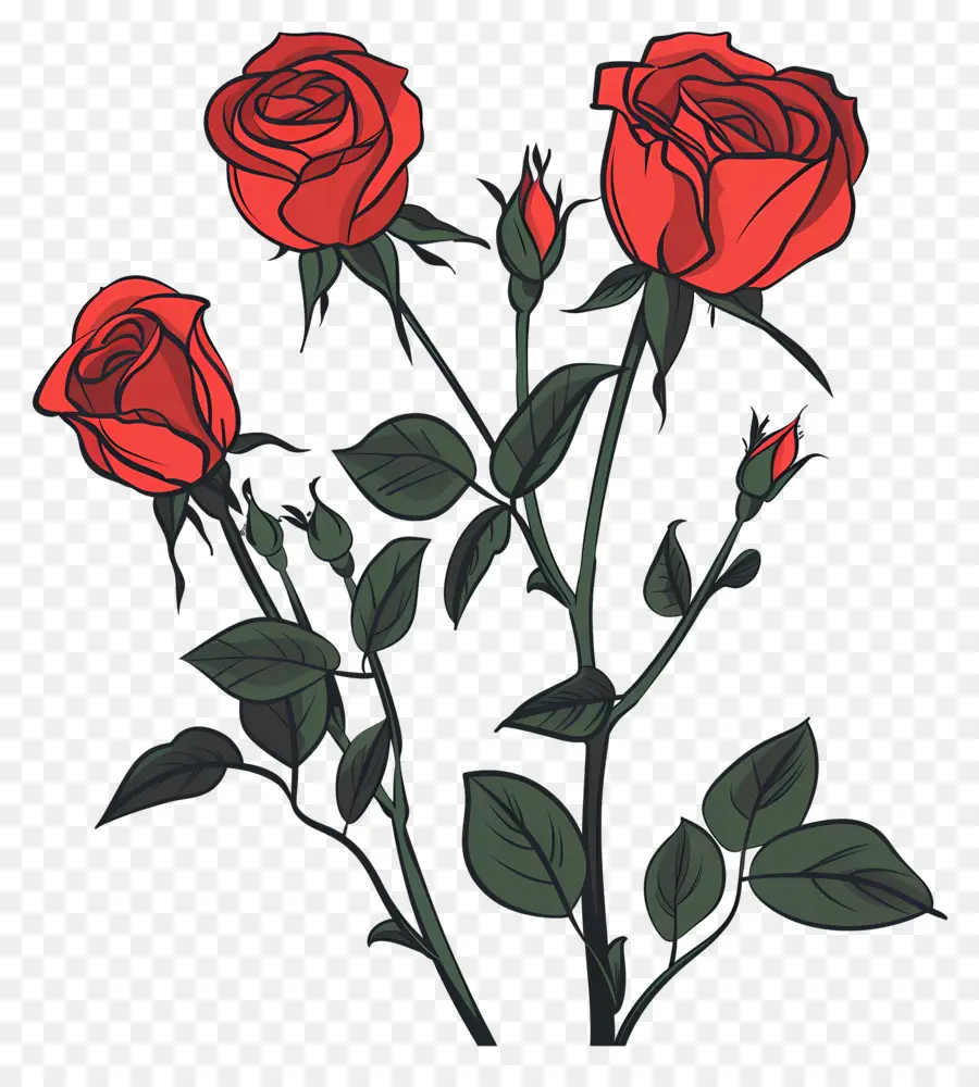 Rosas Vermelhas，Rosa Vermelha PNG