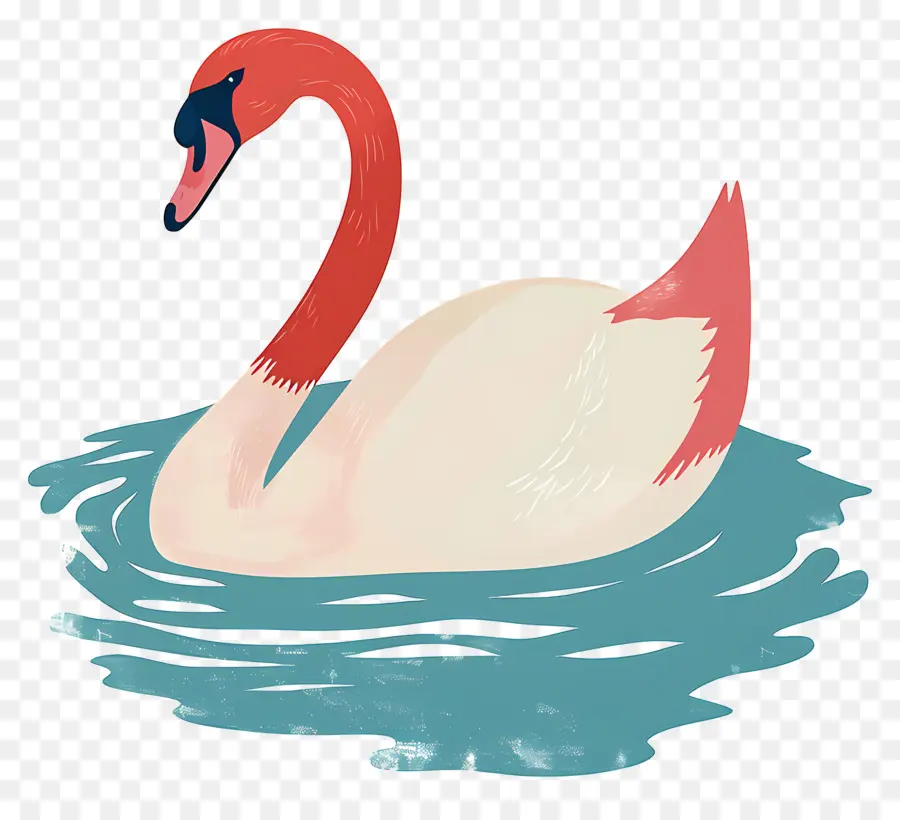 Swan Nadador，Flamingo PNG