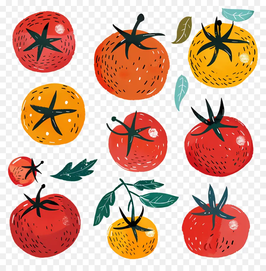 Tomates，Colheita PNG