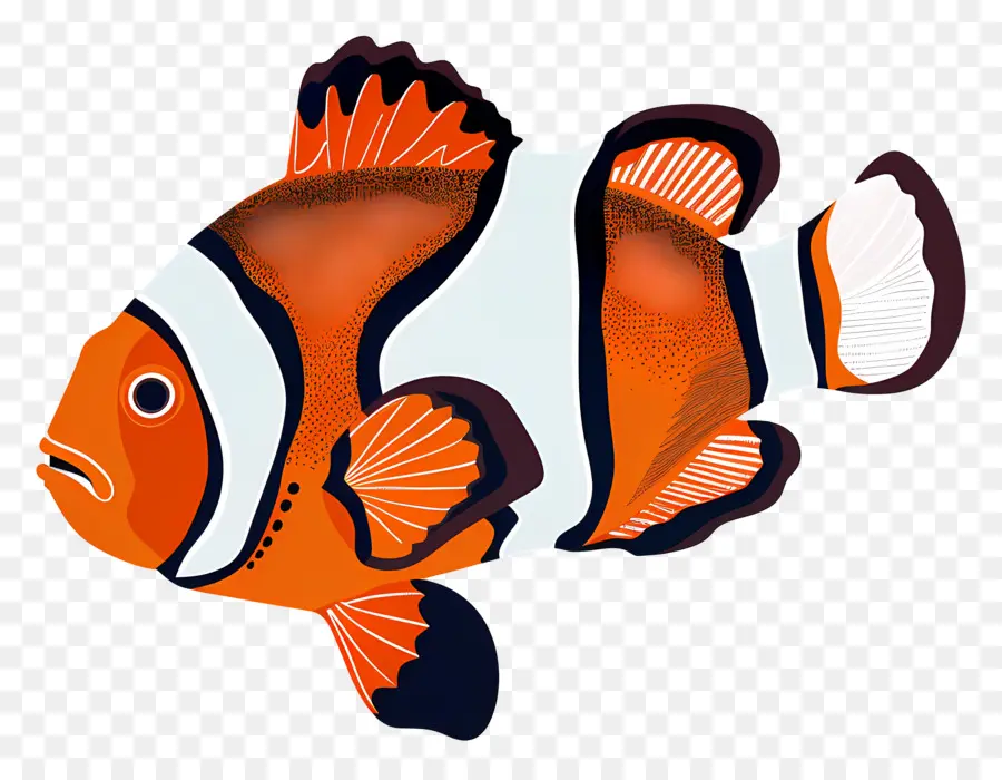 Peixe Palhaço，Clown Fish PNG