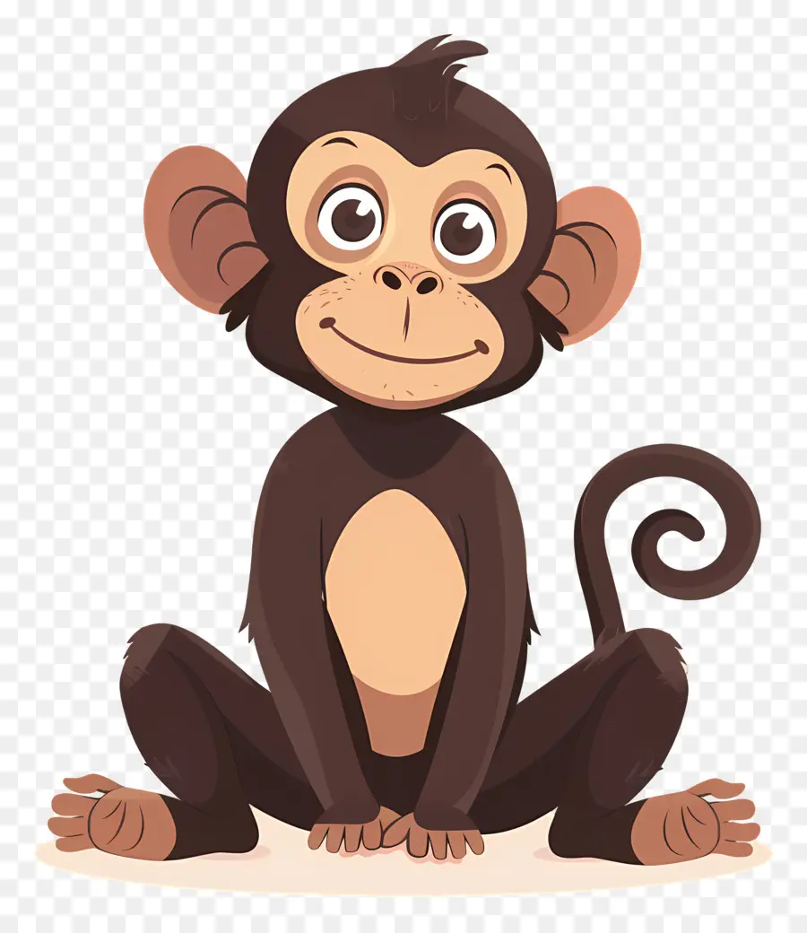 Macaco，Macaco Bonito PNG