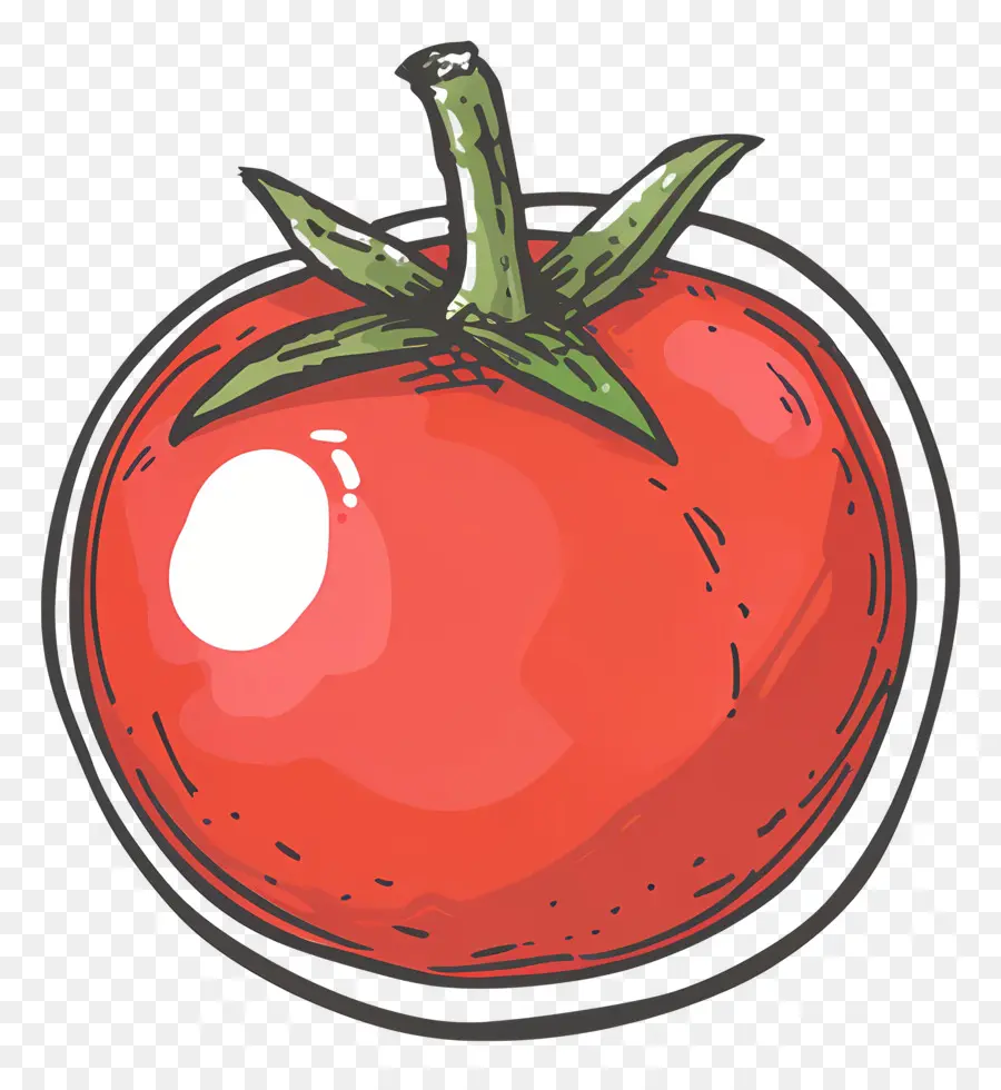 Tomate，Fresco PNG