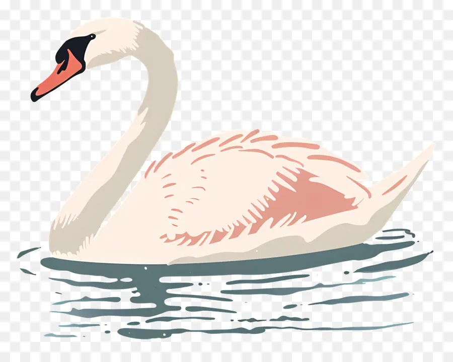 Swan Nadador，Swan PNG