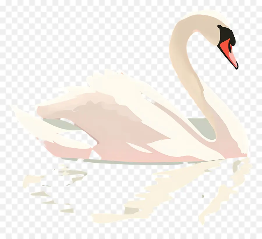 Swan Nadador，Swan PNG