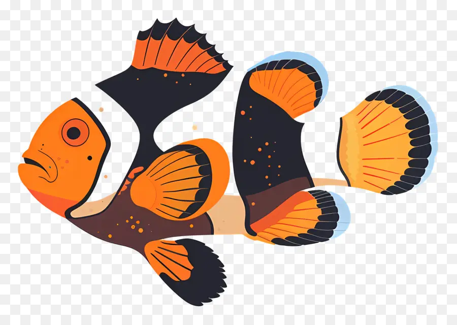 Peixe Palhaço，Cartoon PNG