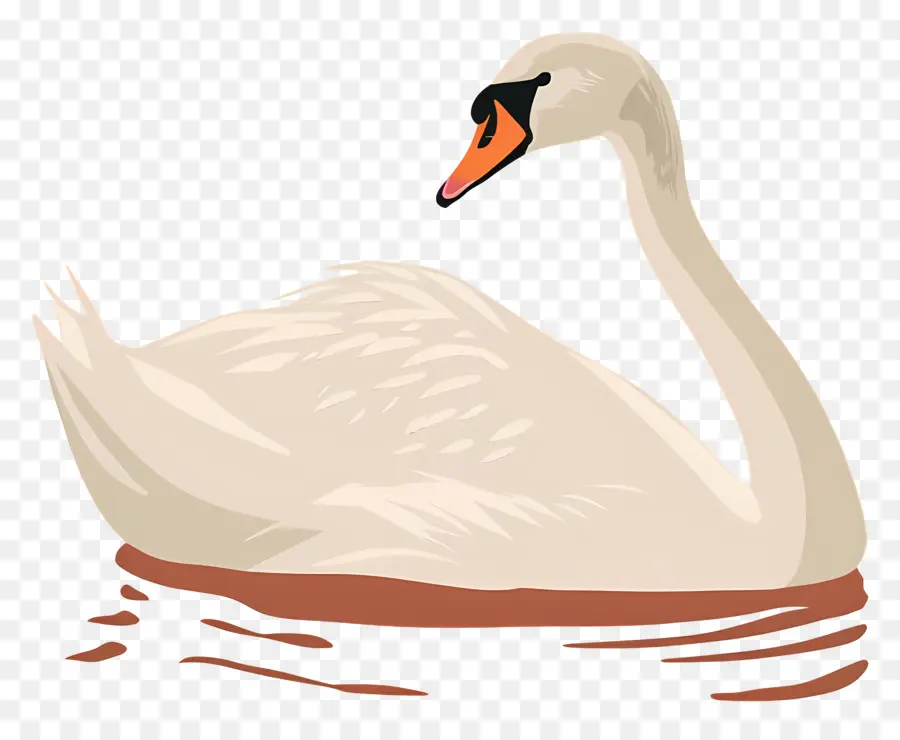 Swan Nadador，Swan PNG