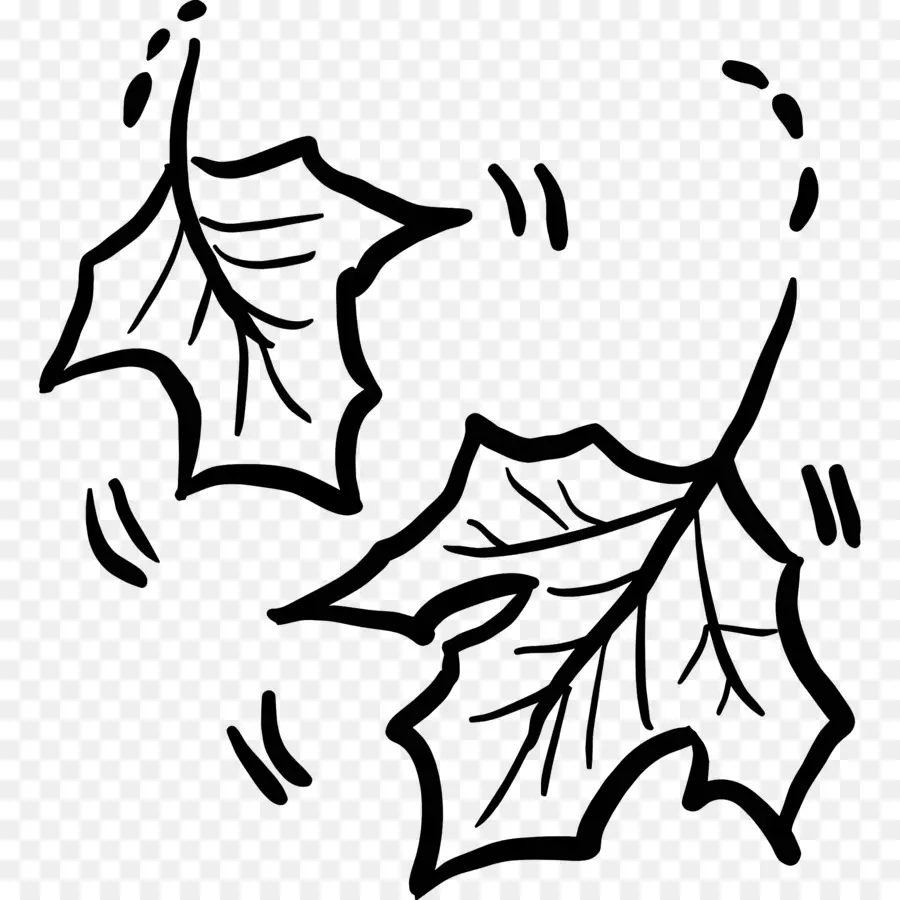 Autumn Leaves，Preto E Branco PNG