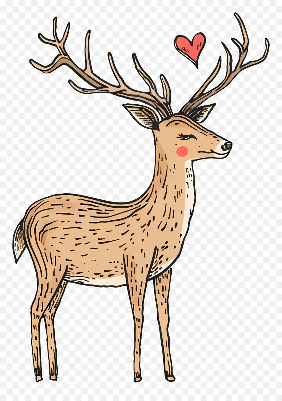 Cartoon Veado，Deer PNG