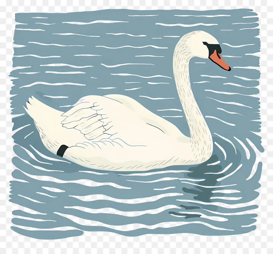 Swan Nadador，Swan PNG