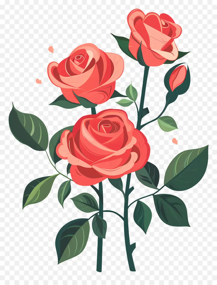 Rosas Vermelhas，Rosas PNG