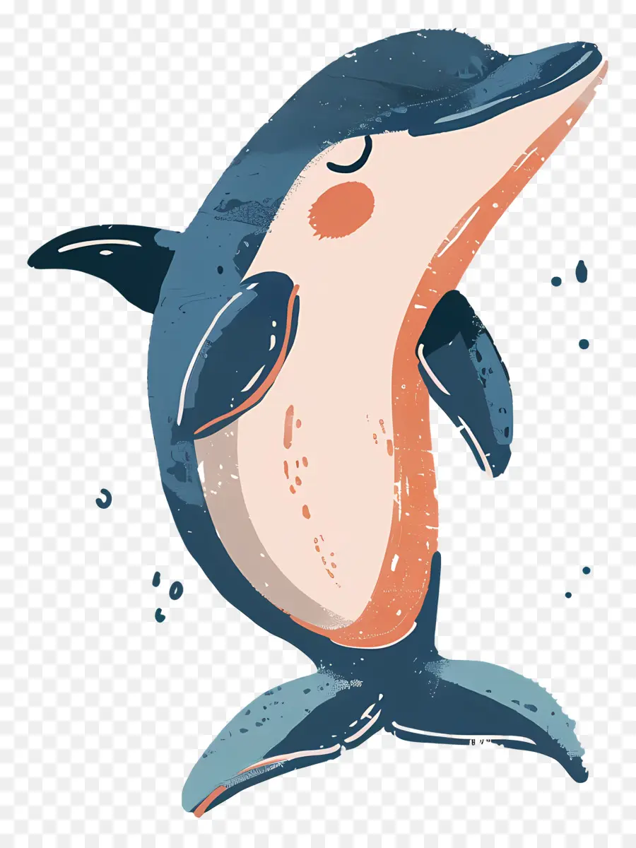 Cartoon Dolphin，Dolphin PNG