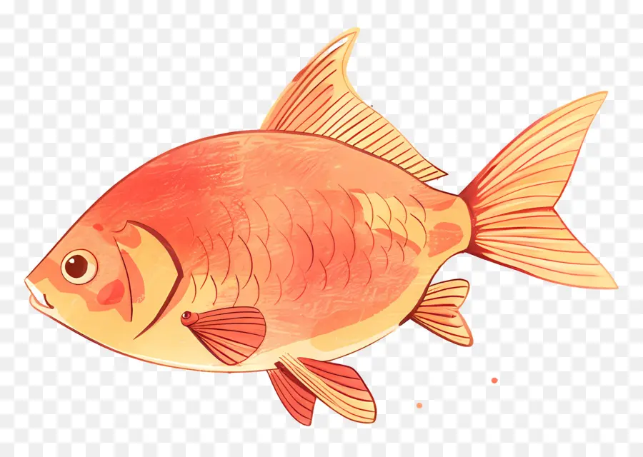 Peixes Clipart，Peixinho PNG