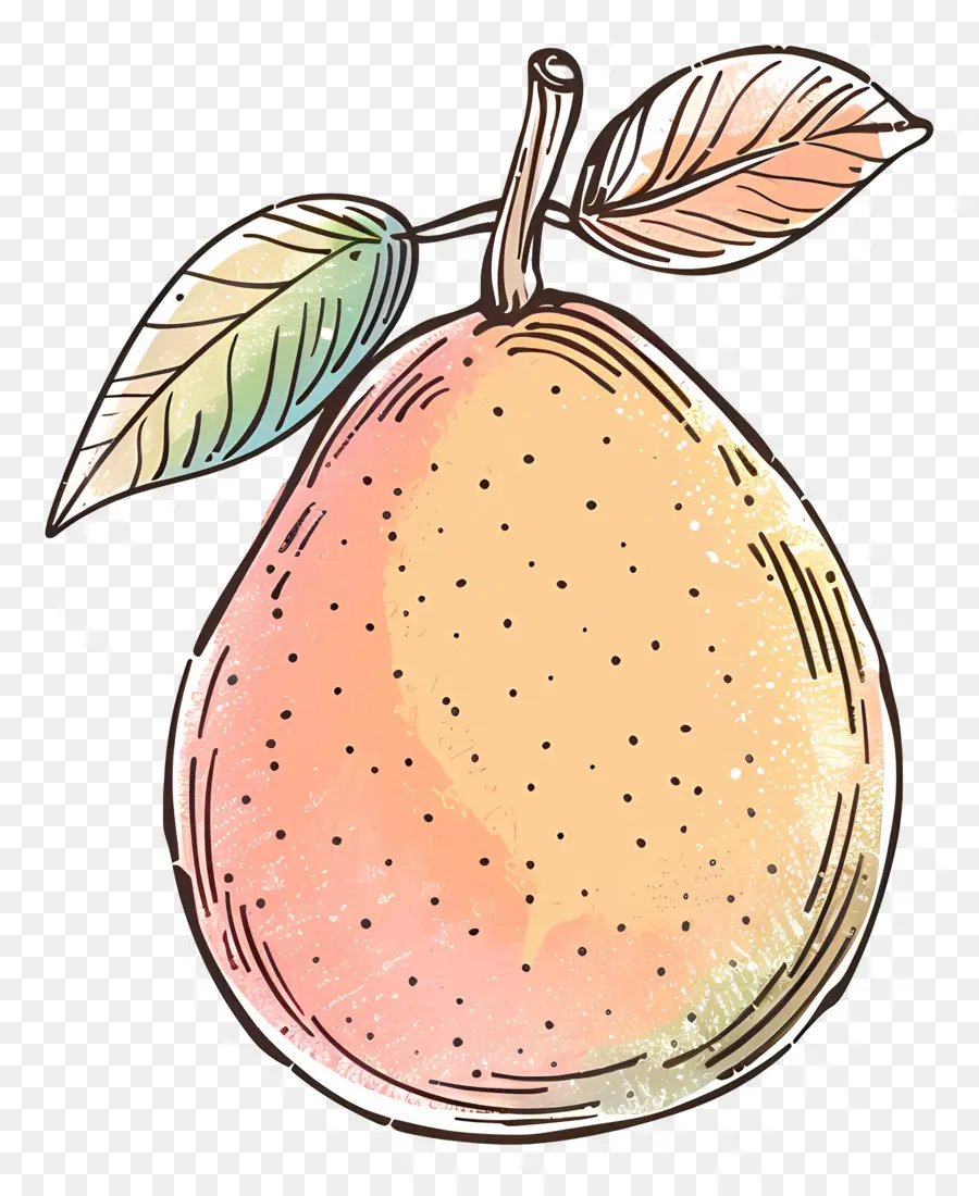 Doodle Mango，Pêra PNG