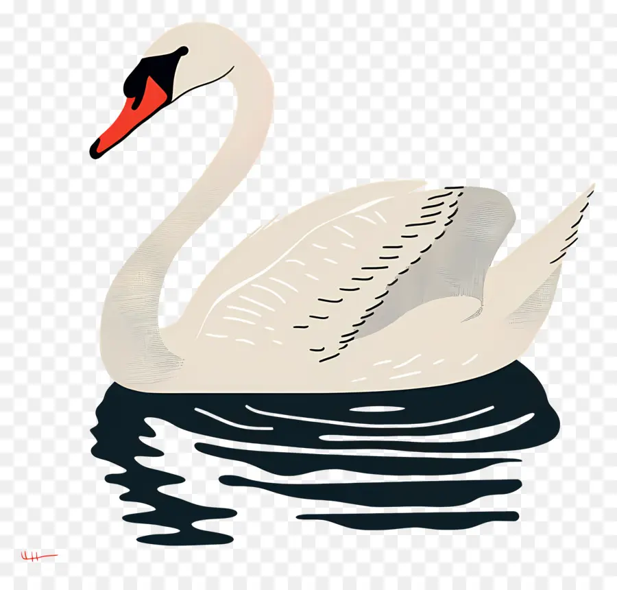 Swan Nadador，Swan PNG