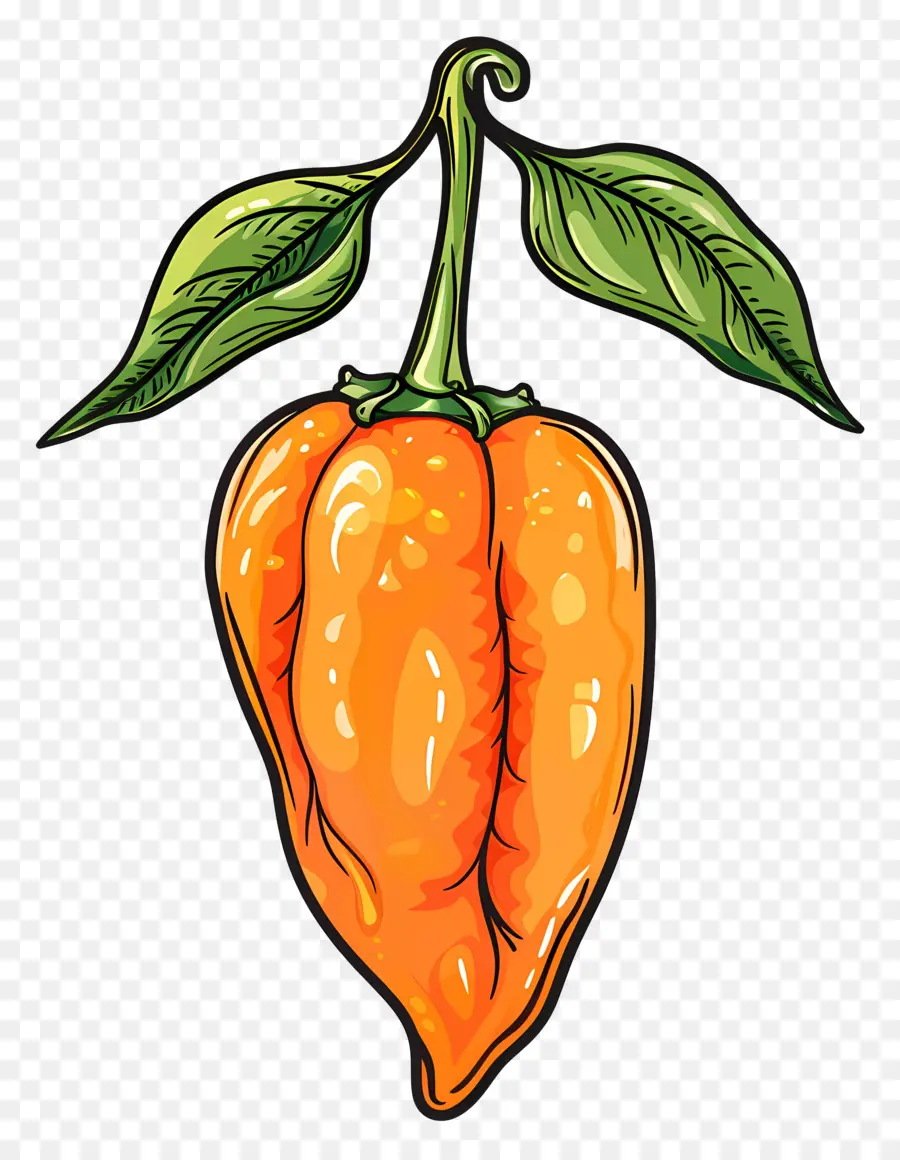 Habanero，Chili Pepper PNG