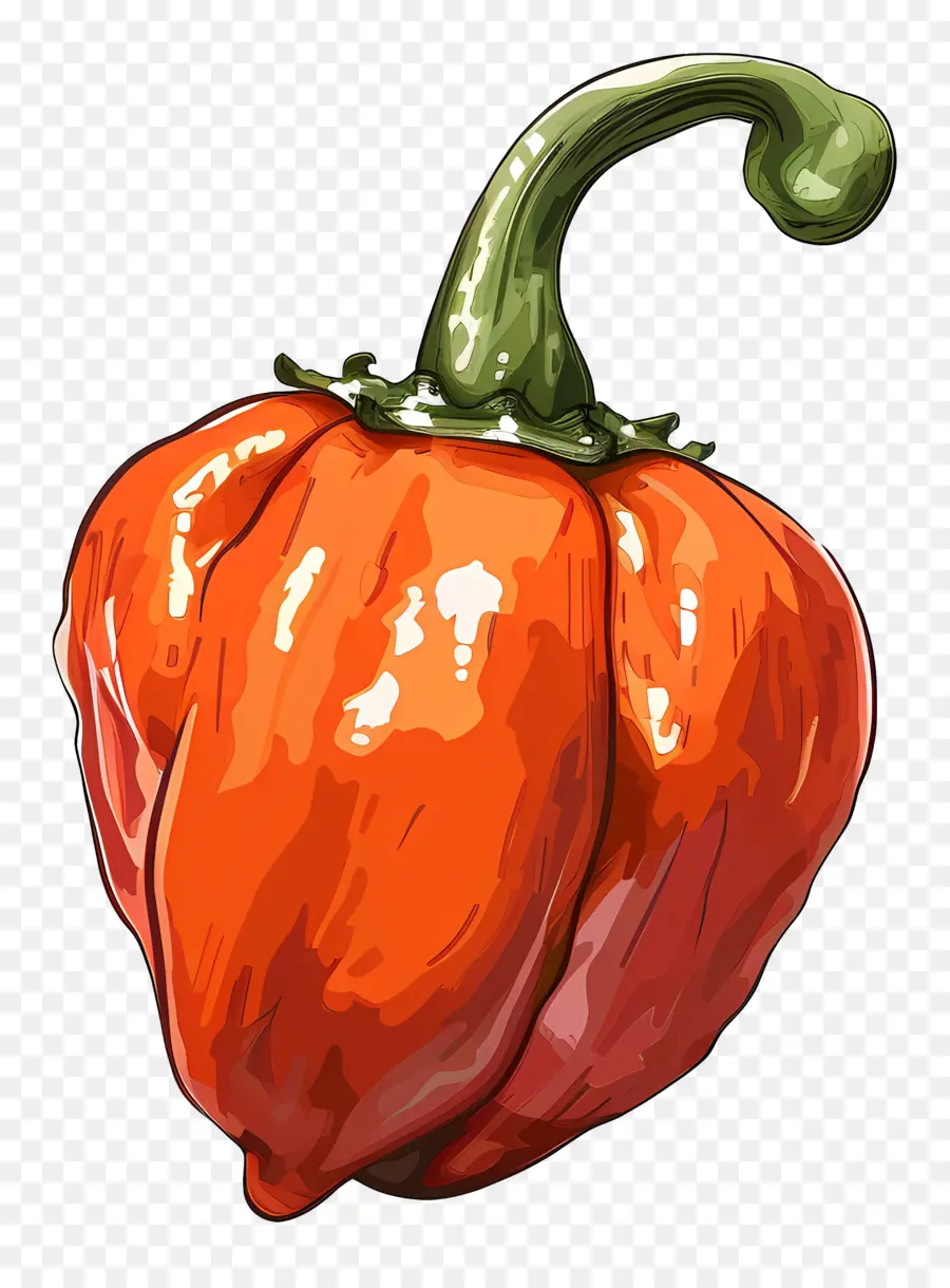 Habanero，Pimentão Vermelho PNG