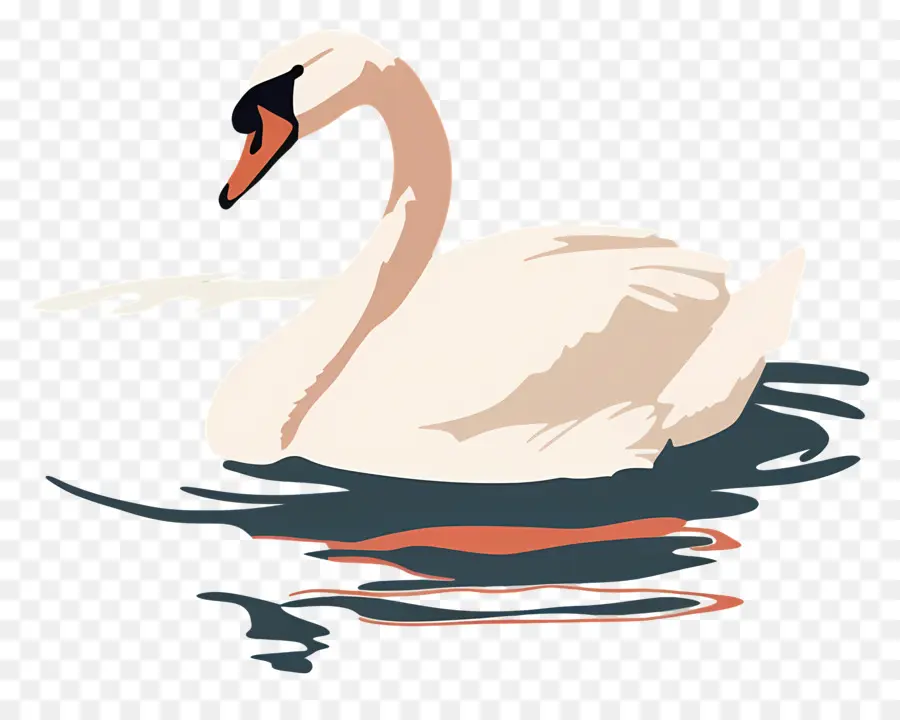 Swan Nadador，Swan PNG