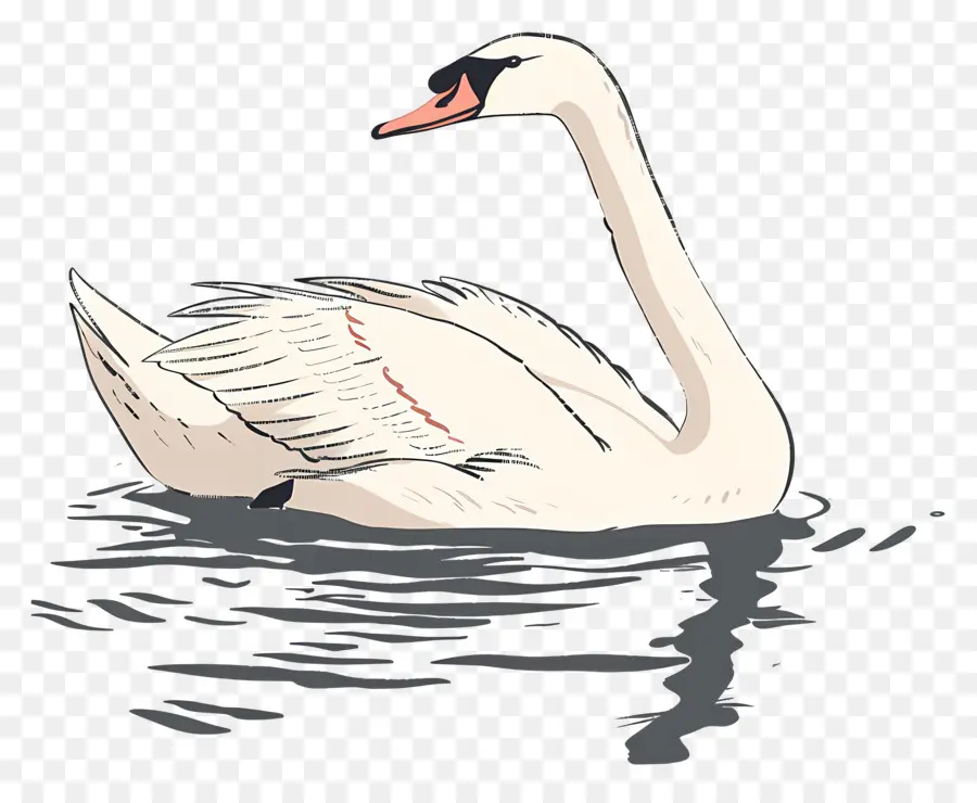 Swan Nadador，Swan PNG