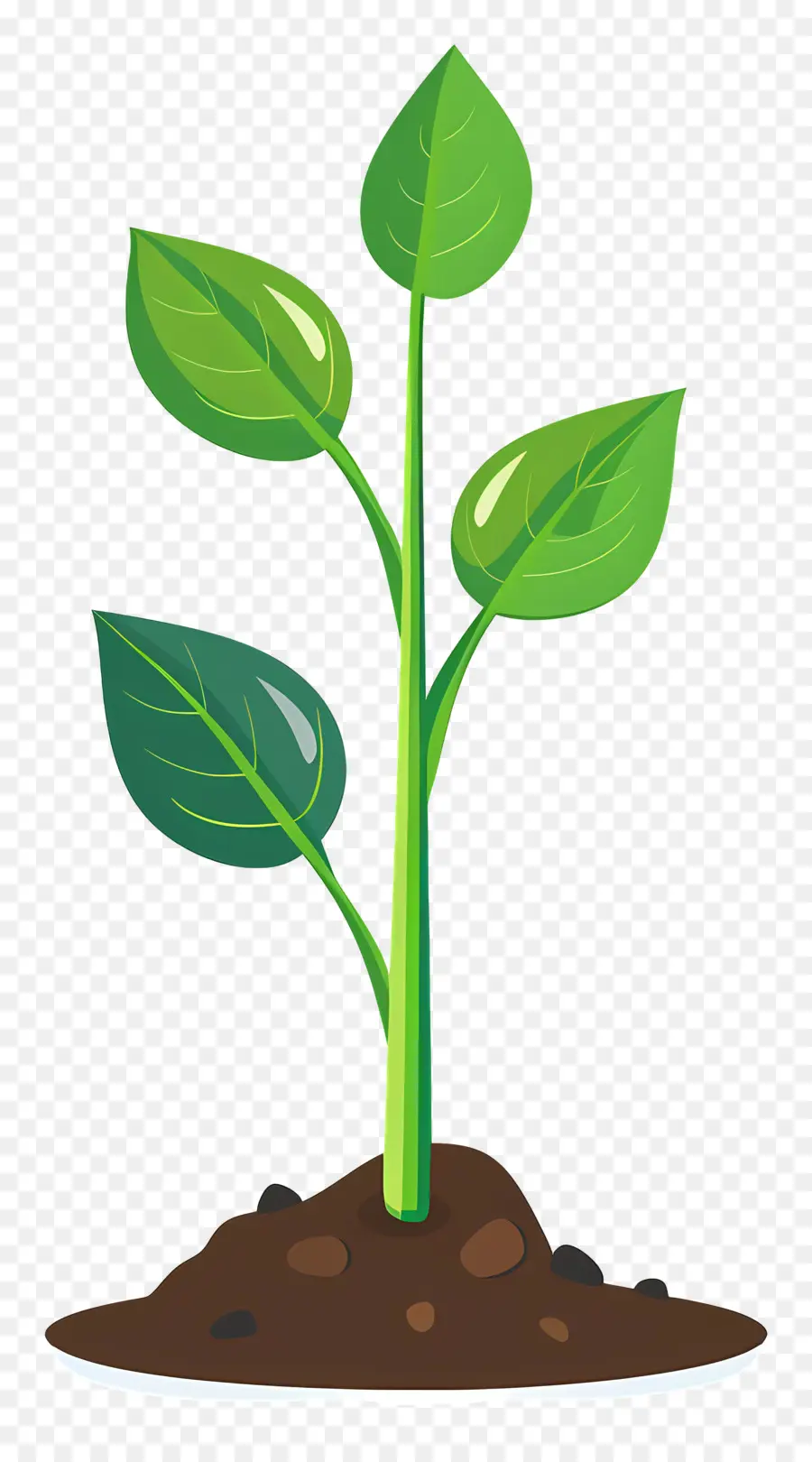 Planta Brotar，O Crescimento Da Planta PNG