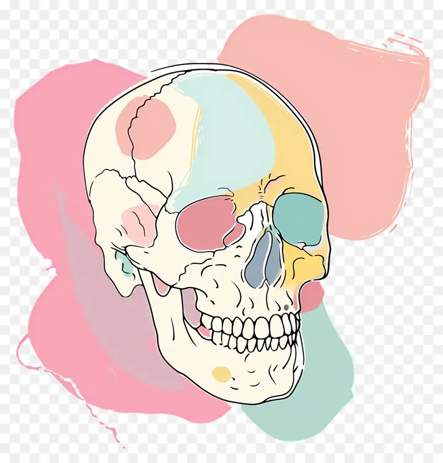 Doodle Skull，Crânio Humano PNG