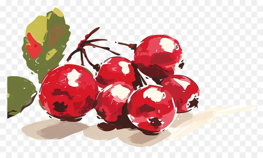 Cranberry，Framboesas PNG