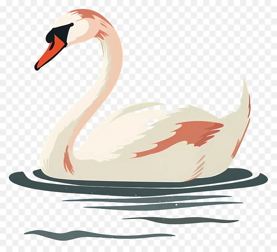 Swan Nadador，Swan PNG