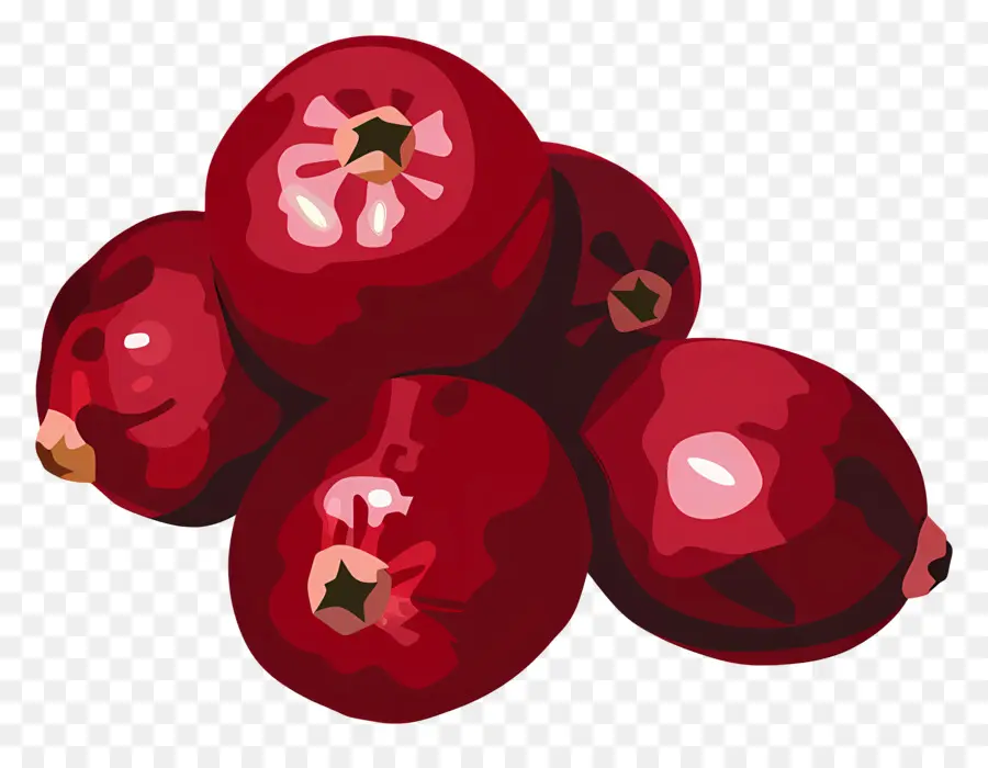 Cranberry，Uvas PNG