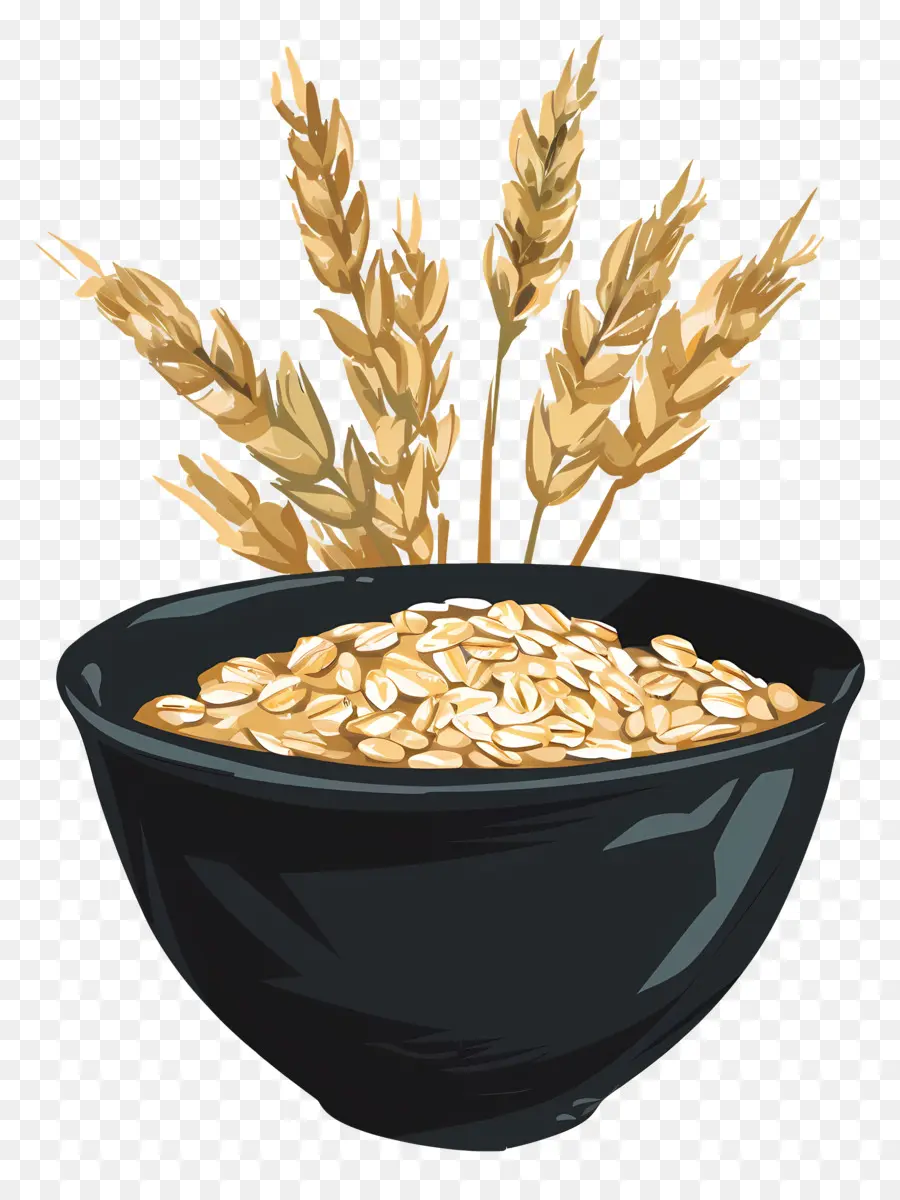 Oats，Trigo PNG