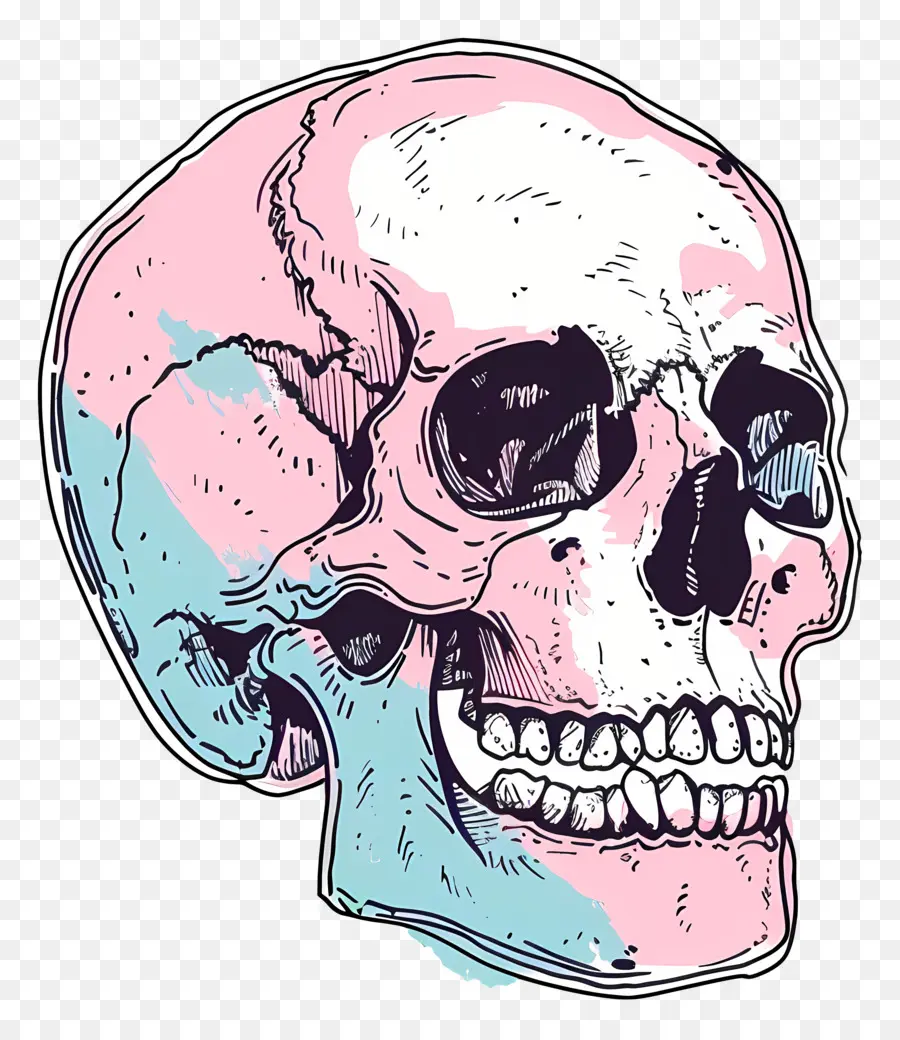 Doodle Skull，Crânio PNG