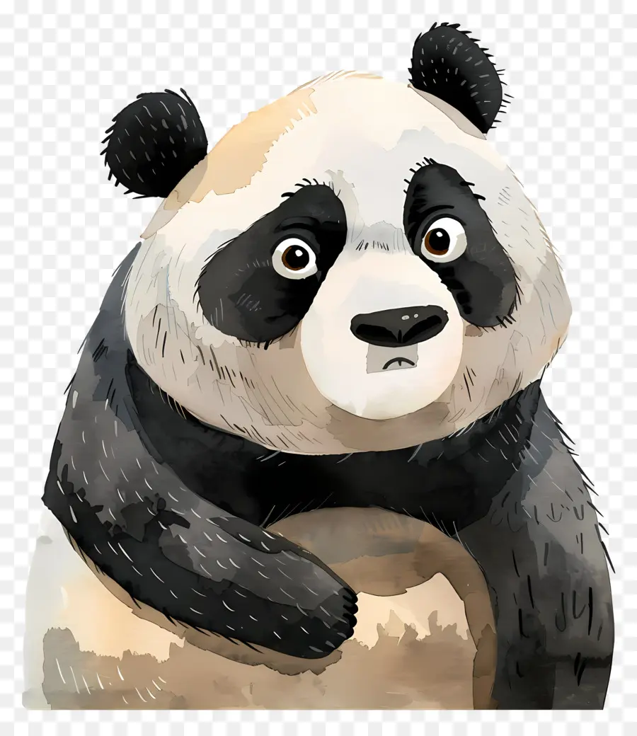 Dos Desenhos Animados Do Panda，Urso Panda PNG