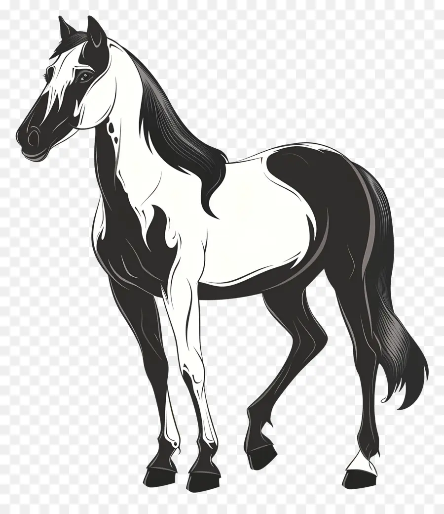 Desenho Animado Cavalo，Preto E Branco PNG