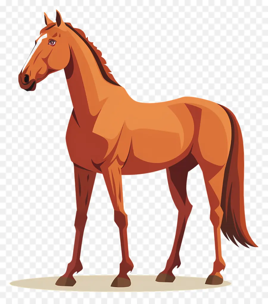 Desenho Animado Cavalo，Cavalo PNG