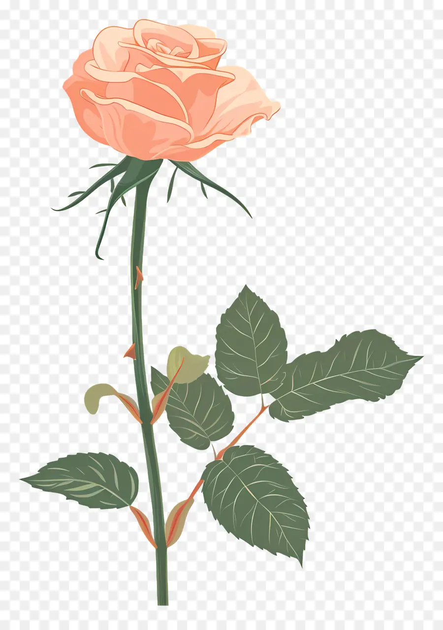 Haste Rosa，Rosa Cor De Rosa PNG