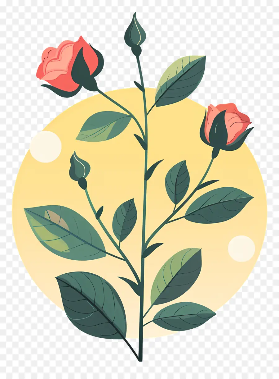 Haste Rosa，Rose Planta PNG