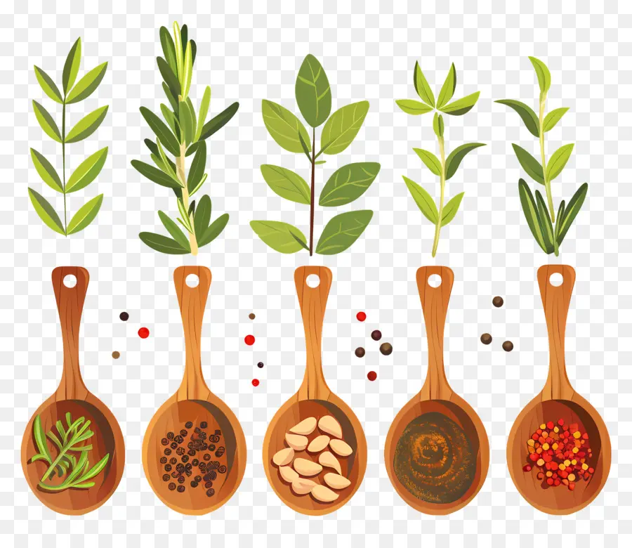 Especiarias，Herbs PNG