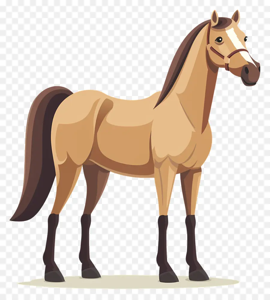 Desenho Animado Cavalo，Cavalo PNG