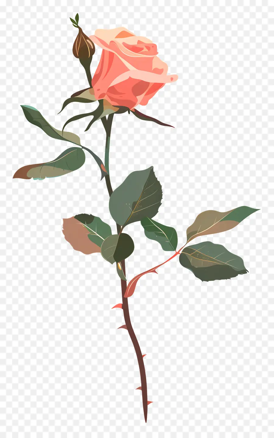 Haste Rosa，Rosa Vermelha PNG