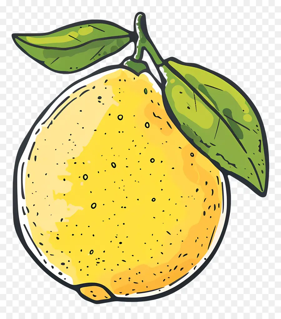 Doodle Lemon，Limão PNG