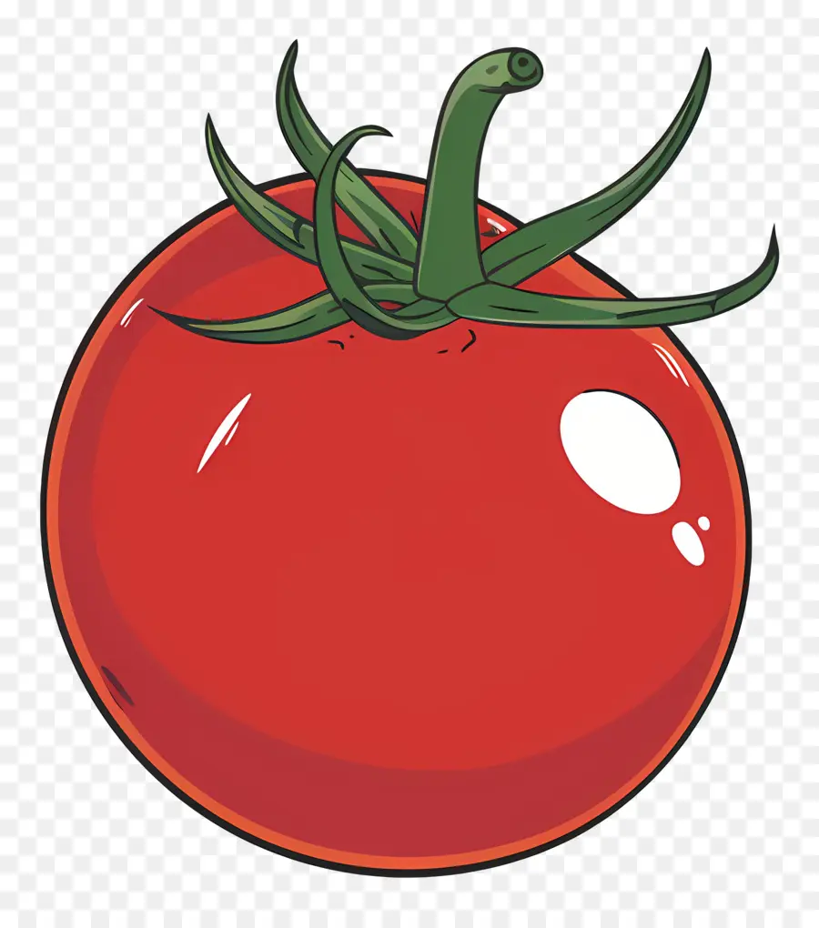 Tomate，Vermelho PNG